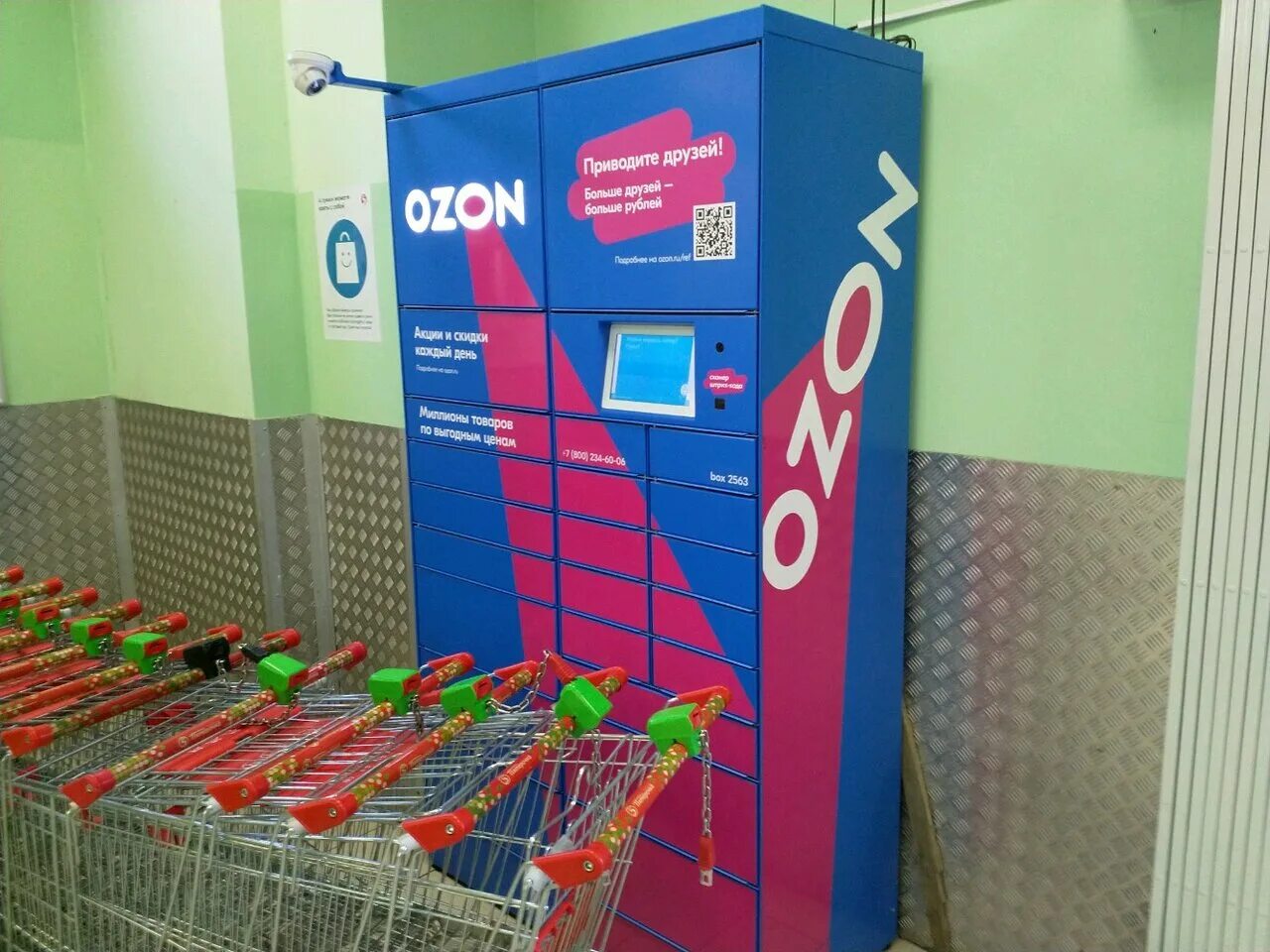 озон в молодечно