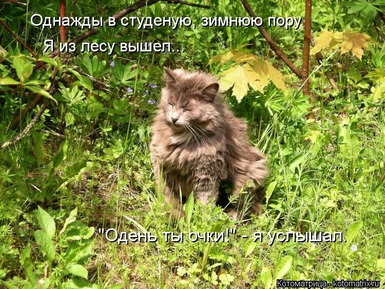 Диктант 3. Стихотворение некрасова мужичок с ноготок. Выйдешь на лесную. Книжка некрасова мужичок с ноготок. Некрасов стих однажды в студеную зимнюю пору.