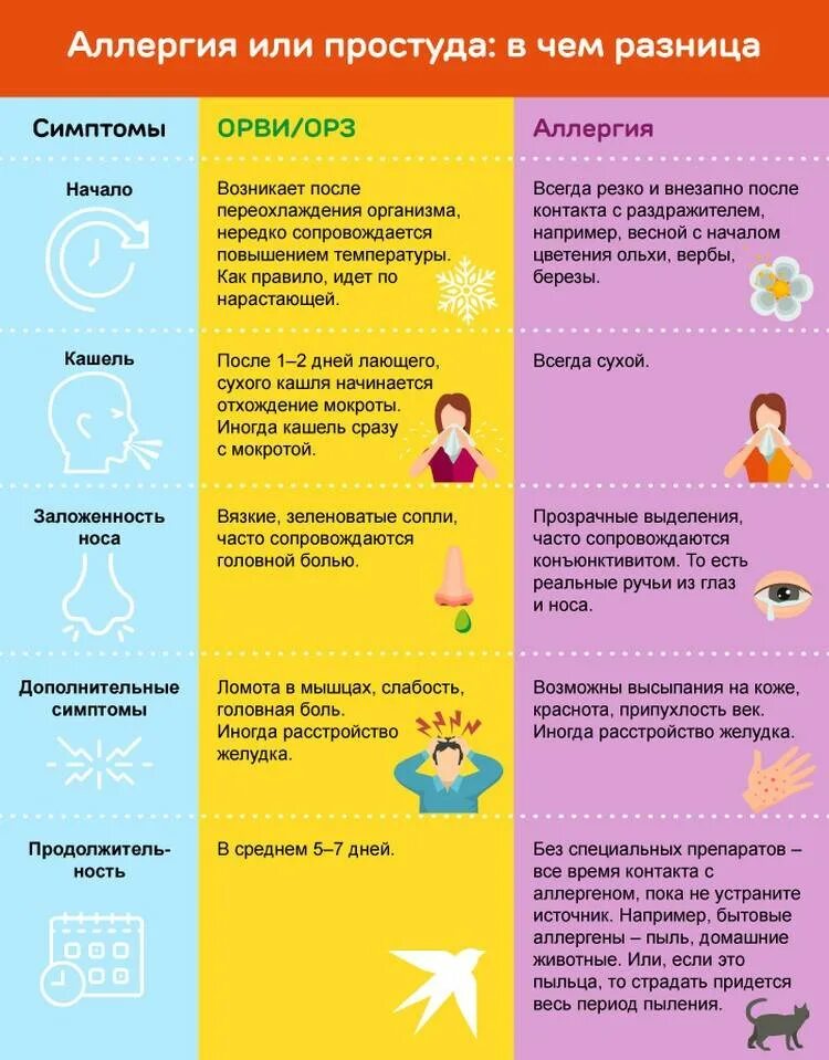 Как отличить простуду. Как распознать аллергию от простуды. как отличить аллкргию от орв. как отличить аллергию от орви. отличие аллергии от простуды.