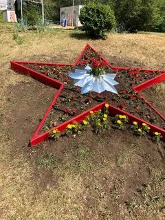 Клумба звезда