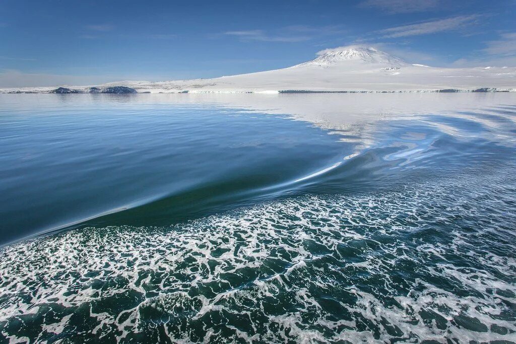 Море росса какой океан. Море Росса Антарктида. Море Рисер-Ларсена. Южный Ледовитый океан. Море Росса моря Южного океана.