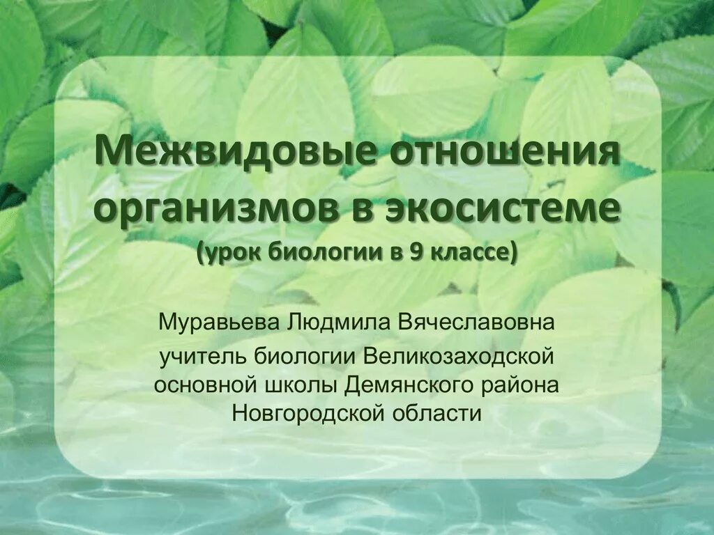 Формы межвидовых взаимоотношений. Схема формы взаимоотношений между организмами. Межвидовые взаимодействия. Типы межвидовых (биотических) отношений между организмами. Межвидовые взаимоотношения организмов.