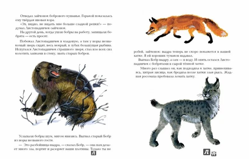 Продолжение рассказа про листопадничка. Листопадничек соколов-микитов план. Продолжение сказки листопадничек. Продолжение сказки листопадничек. Рассказ ивана соколова микитова листопадничек.