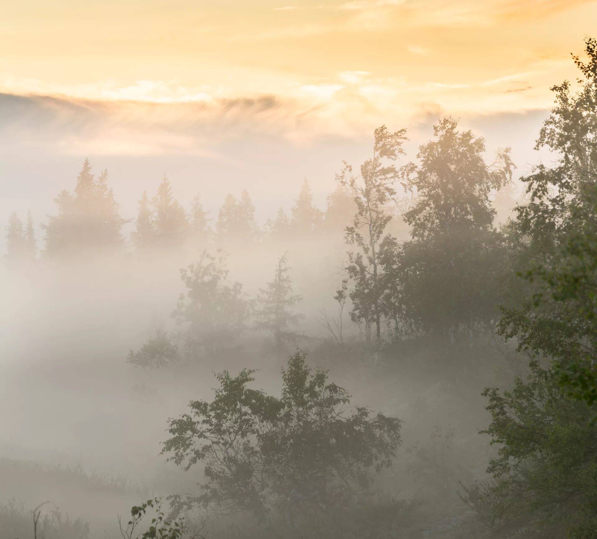 утро туман. раннее утро. куинджи пейзаж туман. стелется туман храм деревня. утренний туман начинал слегка рассеиваться очертания впр.