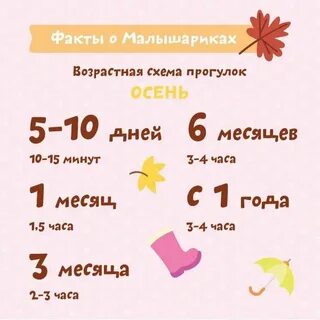 8 месяцев это сколько часов