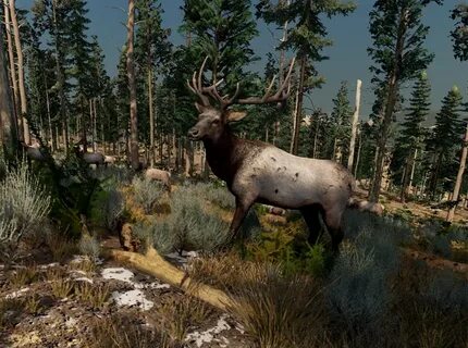 Elk demo