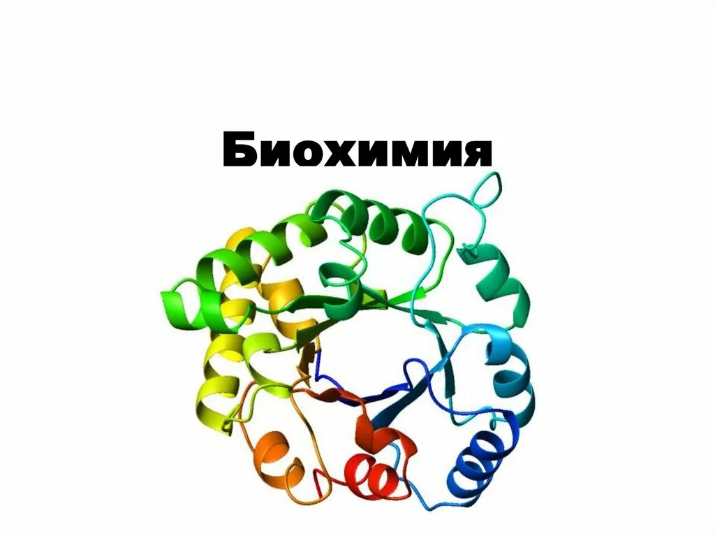 Биофизика биохимия. Биохимия. Биохимия картинки. Биохимия человека. Биохимия это в биологии.