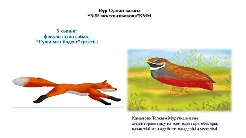 Жалаңаш сисьтинг кастинг