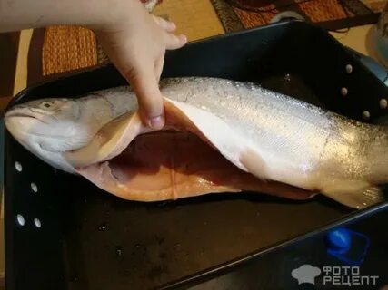 Как солить фарель