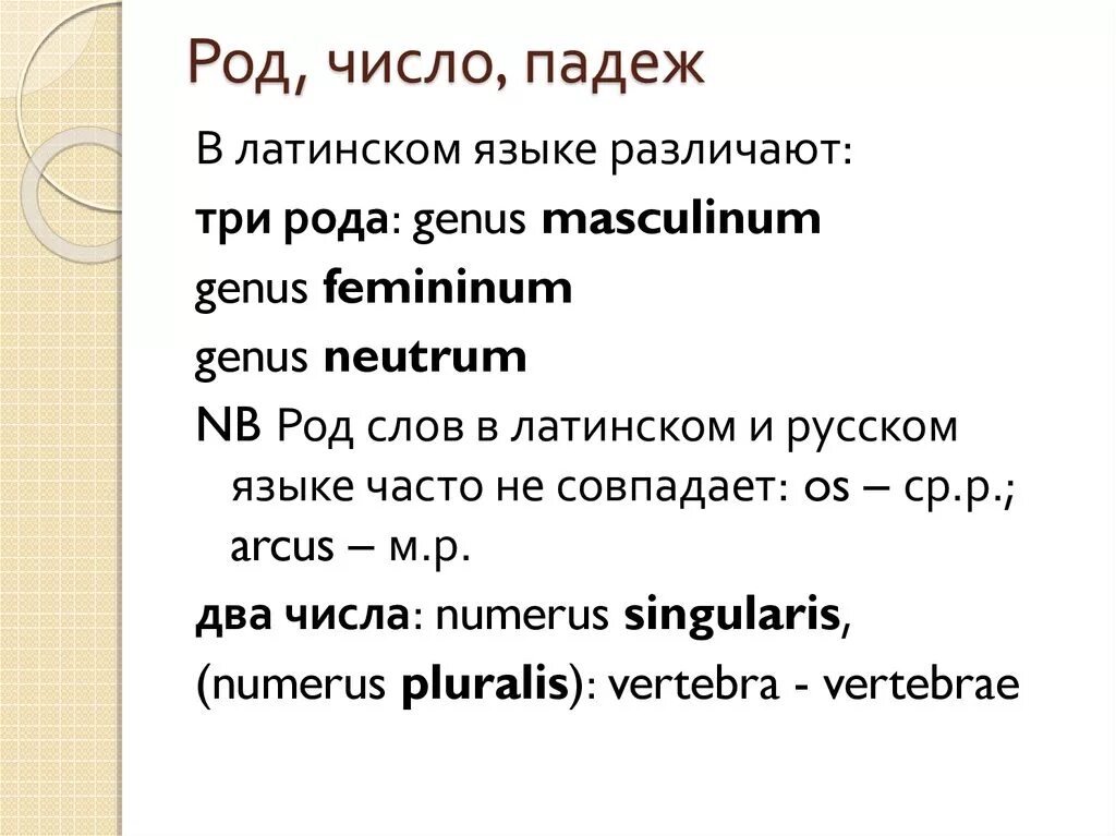 Род падеж латинский. Род падеж в латинском. Падеж и число в латинском языке. Род существительных в латинском языке. Род в латинском языке.