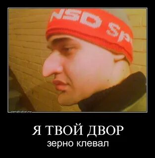 Твой двор су