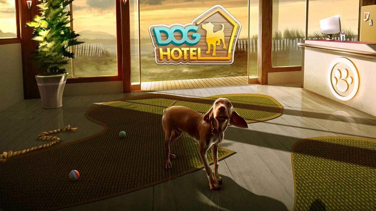 Отель для собак. Игра про собаку. Игра про собачку. Игра отель для животных. Игра для собак на экране