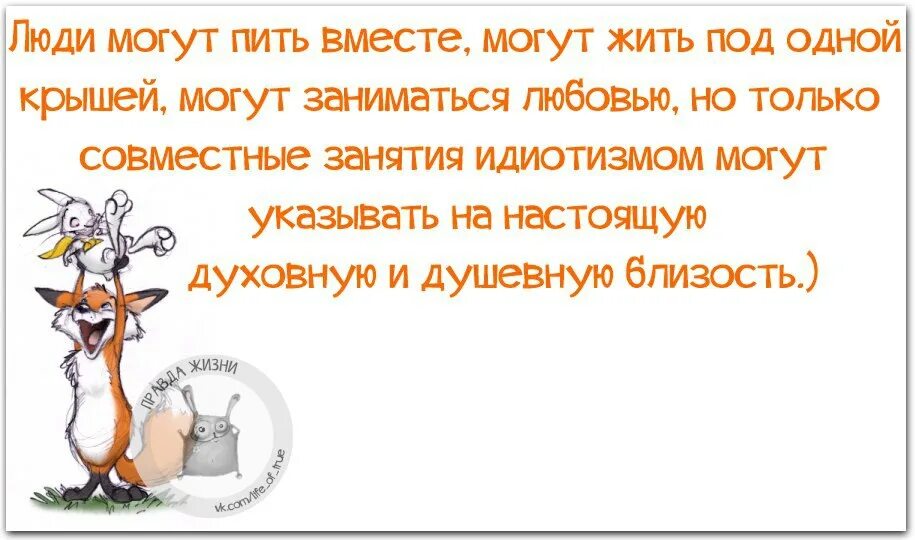 Всегда быть рядом не могут люди долина. Только совместное занятие идиотизмом. Занятия идиотизмом. Люди могут пить вместе. Лишь совместные занятия идиотизмом указывают на душевную близость.