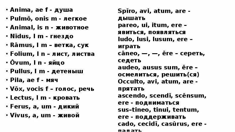 Сухой на латинском. Folia латынь. ramus латынь. folium склонение на латинском. anima латынь.