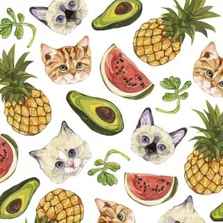 Cat piece fruits