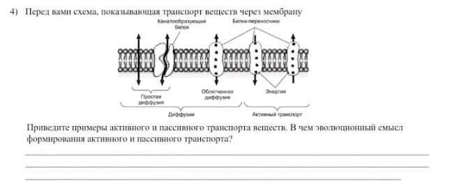 Какой вид мембранного транспорта показан на рисунке. Схема активного транспорта веществ через мембрану. Виды транспорта через мембрану. Активный и пассивный транспорт веществ. Транспорт веществ через мембрану клетки схема.