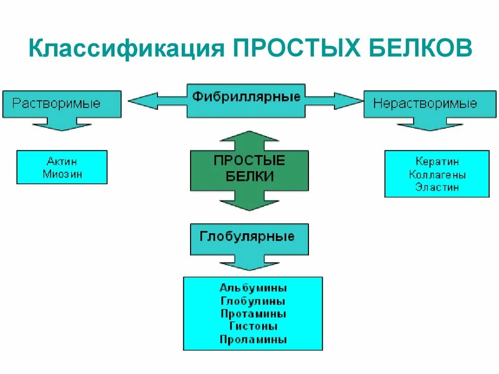 Классификация простых белков. Классификация сложных белков. Схема классификации белков. Основные классы простых белков. Первая группа белков