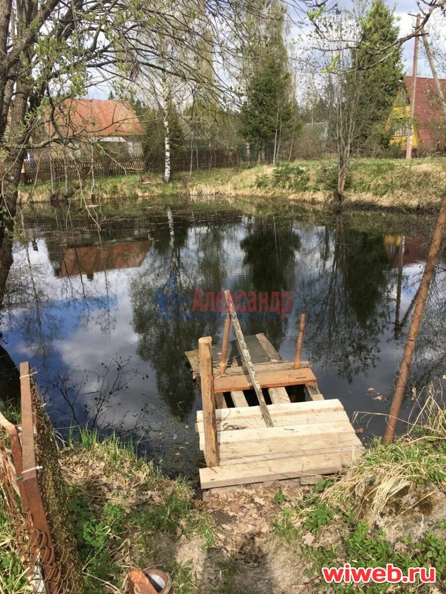 Погода в дивенской ленинградской области на неделю. Большая Дивенка Лужский район. Дивенская Ленинградская область. Садоводство Дивенская Лужский район. Река Дивенка.