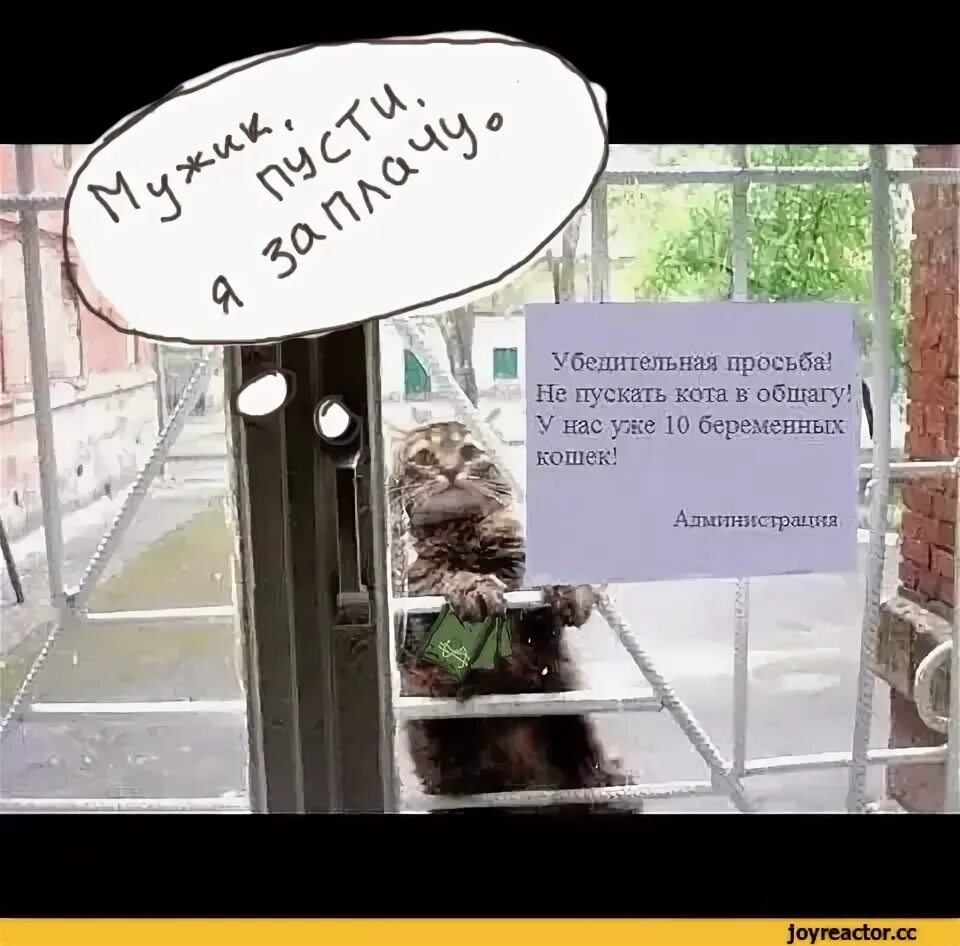 Почему не пускает в игру