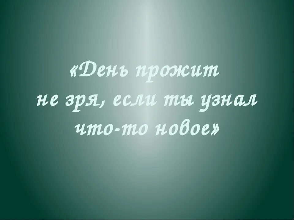 Не задавай вопросы зря. Живи не зря. жизнь прожита зря. я прожил жизнь не зря. жизнь прожита не зря если.