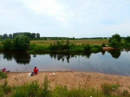 Киселиха нижегородская