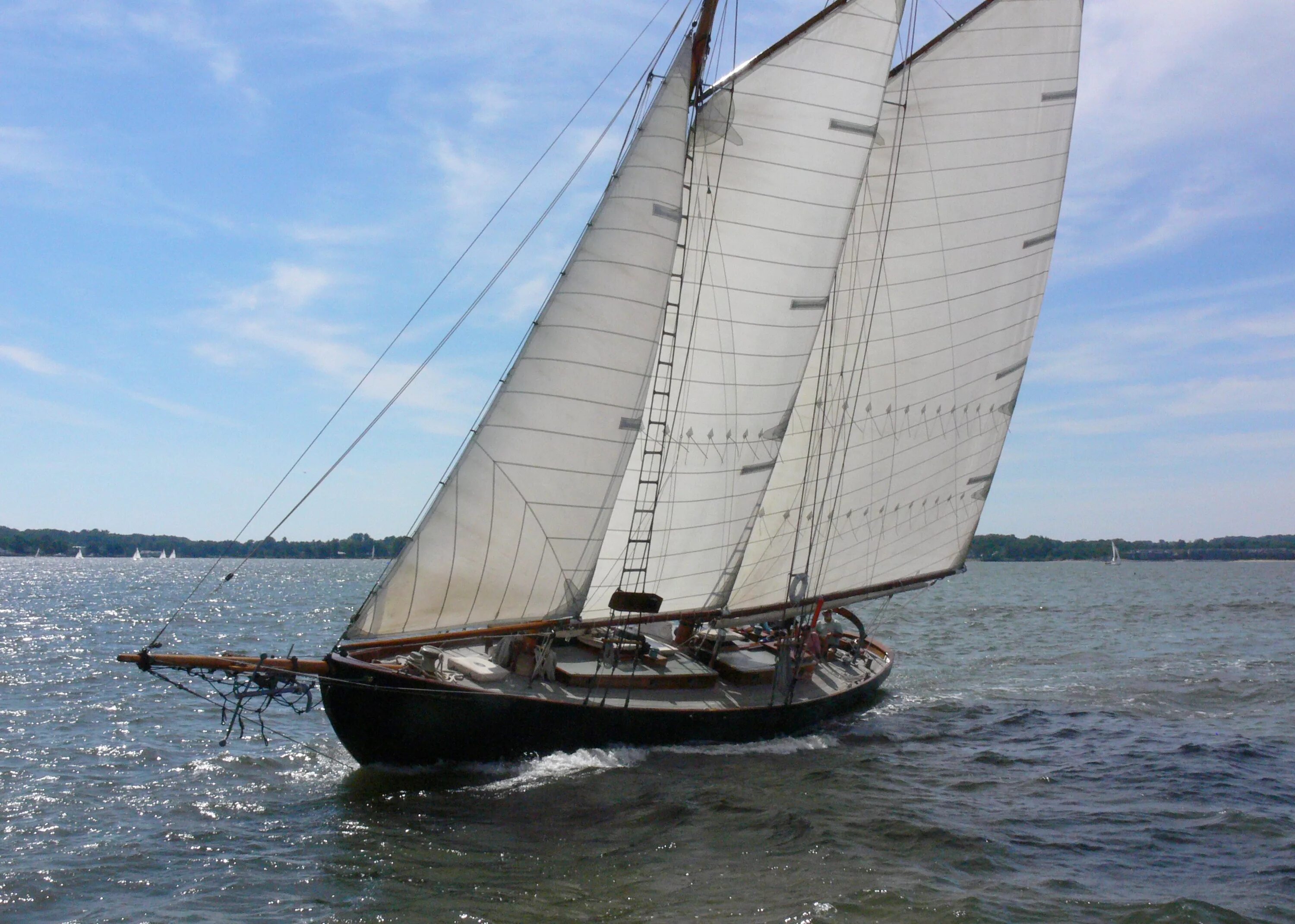 Китобойная шхуна 1866. Чайка. Шхуна надежда санкт-петербург. Балтиморская шхуна grecian. Шхуна в рок опере сканворд 5 букв.