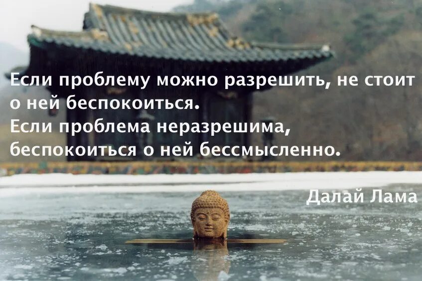 Заботиться беспокоиться. Мудрость буддизма. Буддизм изречения дзен. Мудрость дзен. Дзен афоризмы.