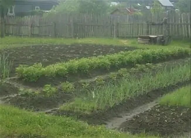 Погода венец сосновский нижегородская. Деревня венец Сосновский район. С венец Сосновского района Нижегородской области. Деревня венец Сосновский район Нижегородская область. Село венец Сосновского района Нижегородской области.