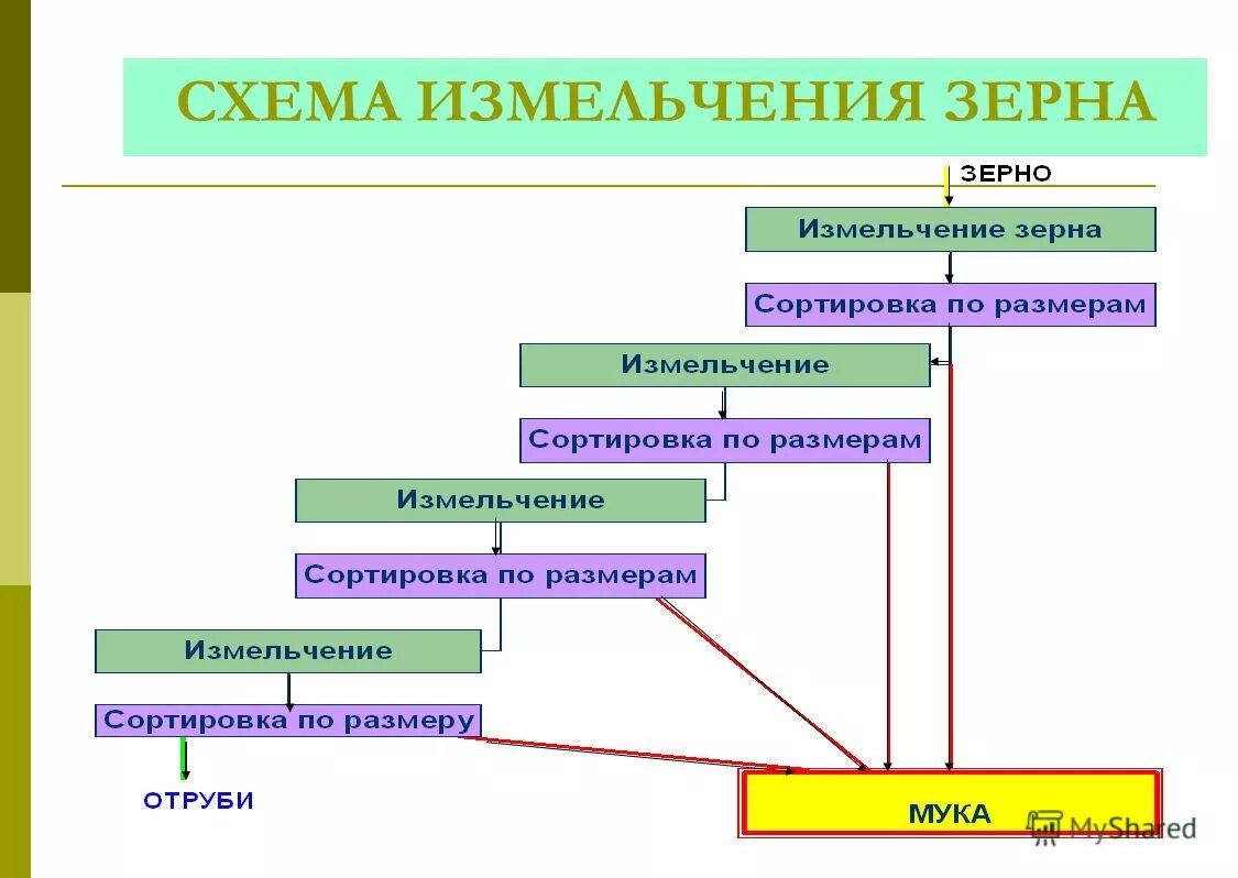введение в технологию питания