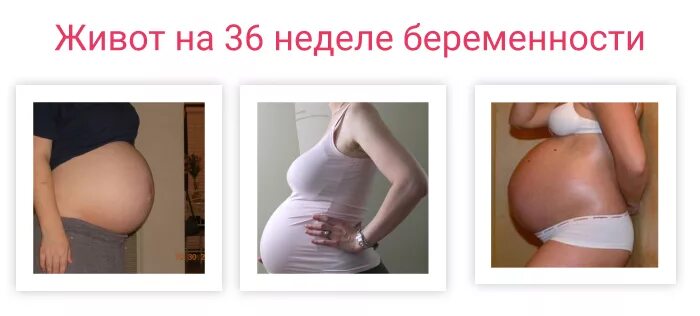 36 недель ноет