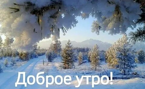 Доброе зимнее утро зимние пейзажи