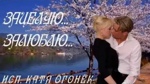 Песня я зацелую тебя по сети