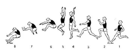 Прыжок в длину способом прогнувшись. Разбег отталкивание полет приземление. Техника прыжка в длину с разбега способом прогнувшись. Внешние силы в прыжках. В какой стадии полета тело прыгуна