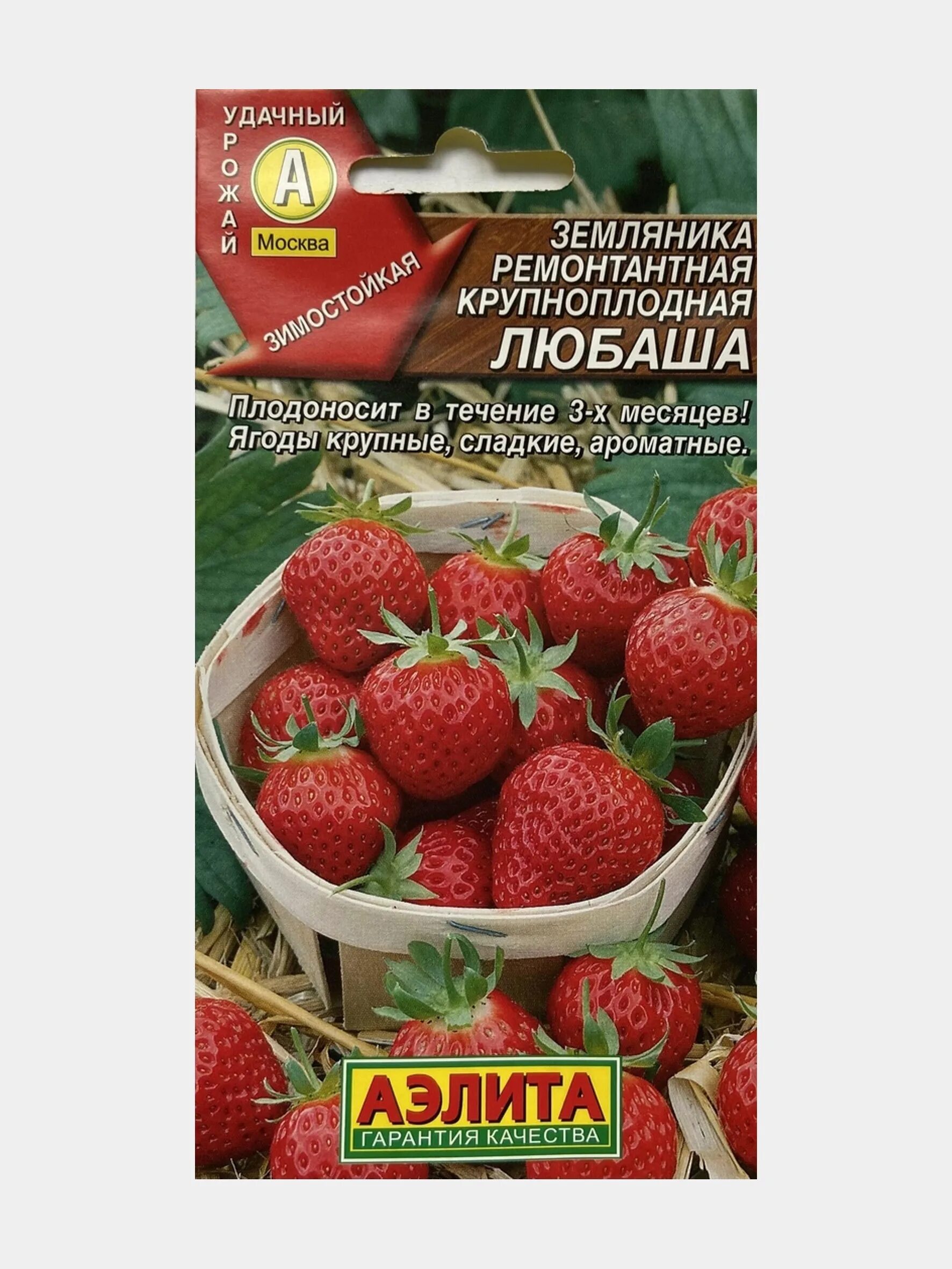 Семена Земляника Любаша, 1 уп Цветущий сад 144688222 купить за 171 ₽ в интернет-