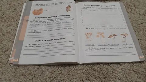 Рабочая тетрадь по окружающему стр 26