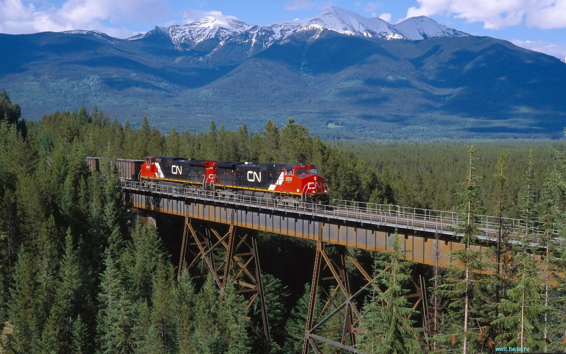 Монтана штат железная дорога. Кольцевая железная дорога Джорджтауна. Канадская Тихоокеанская железная дорога. Поезд в тайге.
