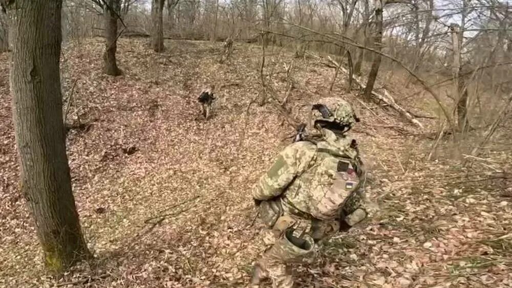 Брянская обл приграничье