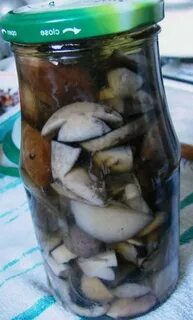 Соленые подосиновики рецепт