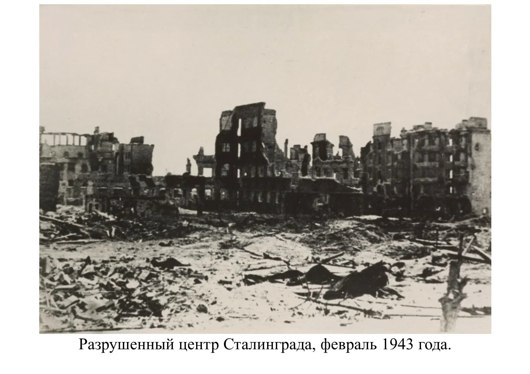 после сталинградской битвы