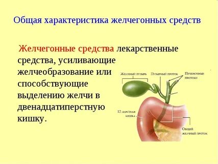 Как вывести застой желчи из желчного пузыря