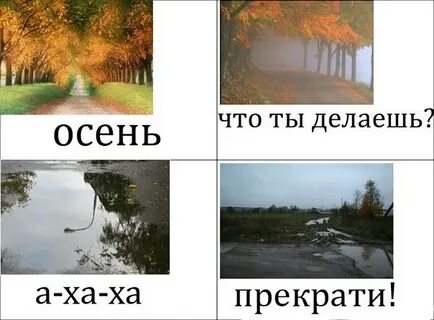 Что поделать осенью на улице