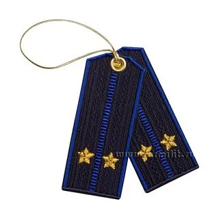 Подполковник юстиции погоны