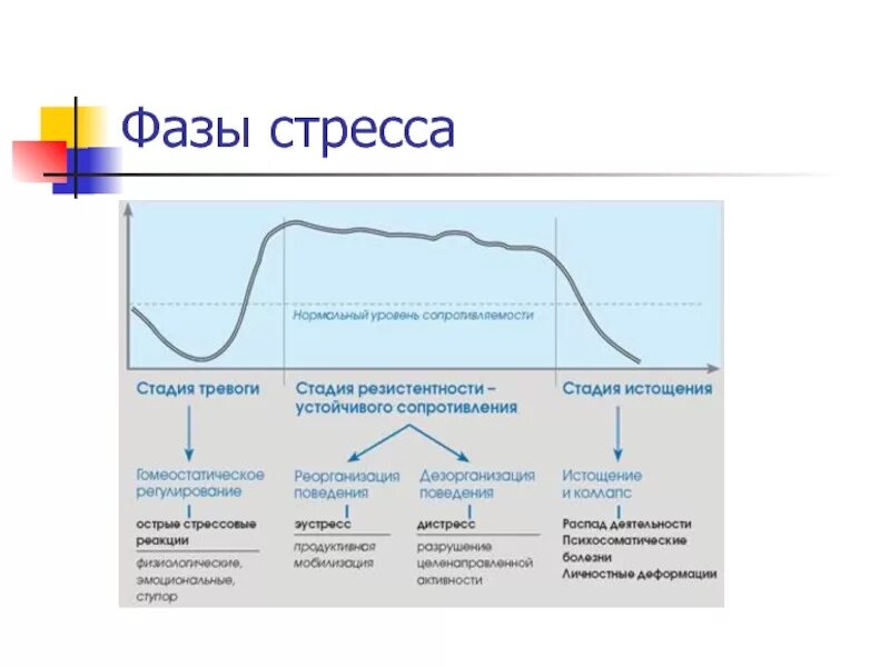 Фаза тревоги. Фазы психического стресса схема. Ганс Селье 3 стадии стресса. Стадии развития стресс реакции. Фазы нарастания стресса.