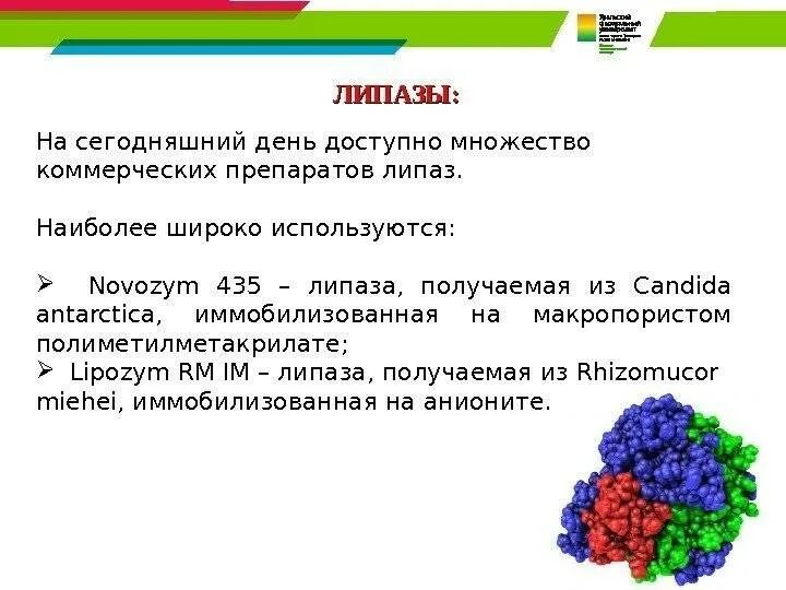 Липаза повышена в крови. Липаза. Липаза фермент. Липаза функции. Липаза препарат.