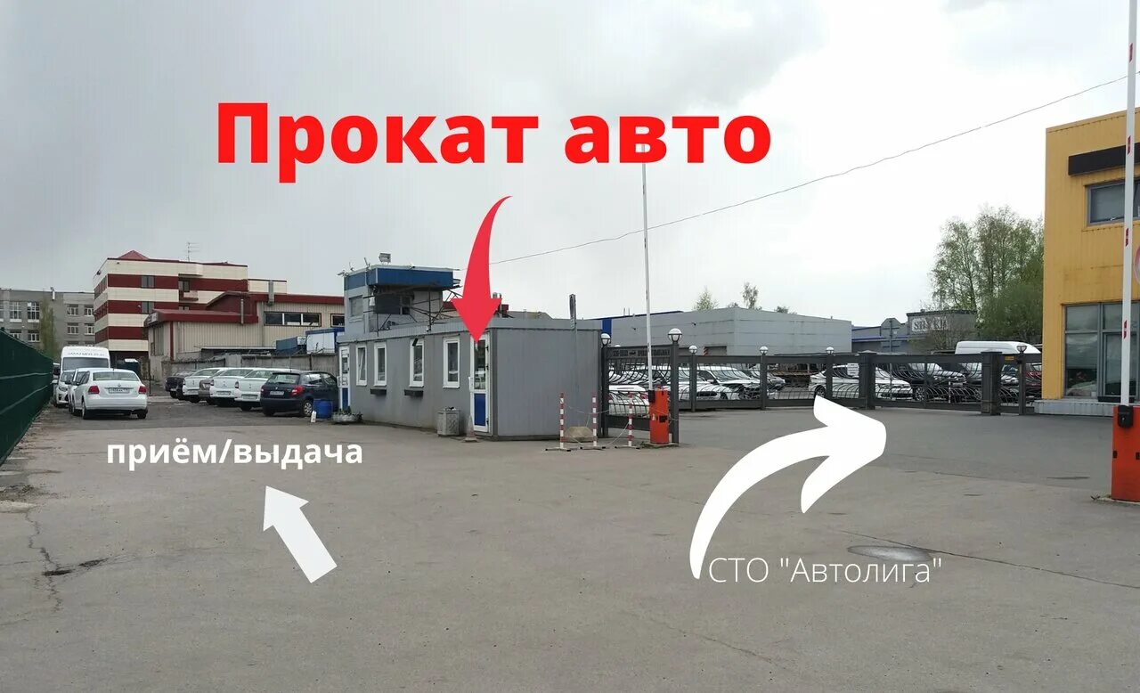 Сто автолига на энергетиков. Автолига энергетиков 14. Боровичи автолига магазин. Автолига на энергетиков. Автолига нижнекамск директор.
