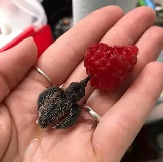 Который есть даже в самом маленьком