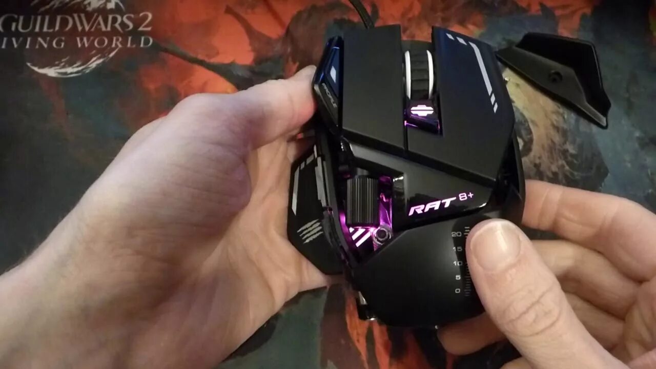 R a t 8