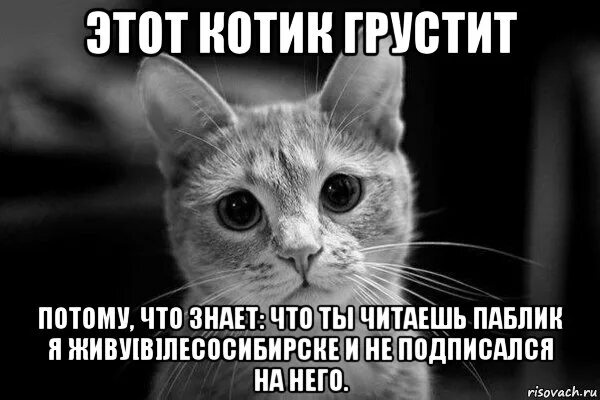 Грустно потому что. Леонид аркадьевич мем. Мне грустно лермонтов стих. Мне грустно оттого что я тебя люблю. Мне грустно лермонтов.