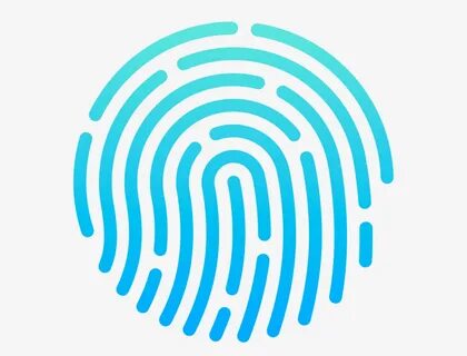 Touch fingerprint
