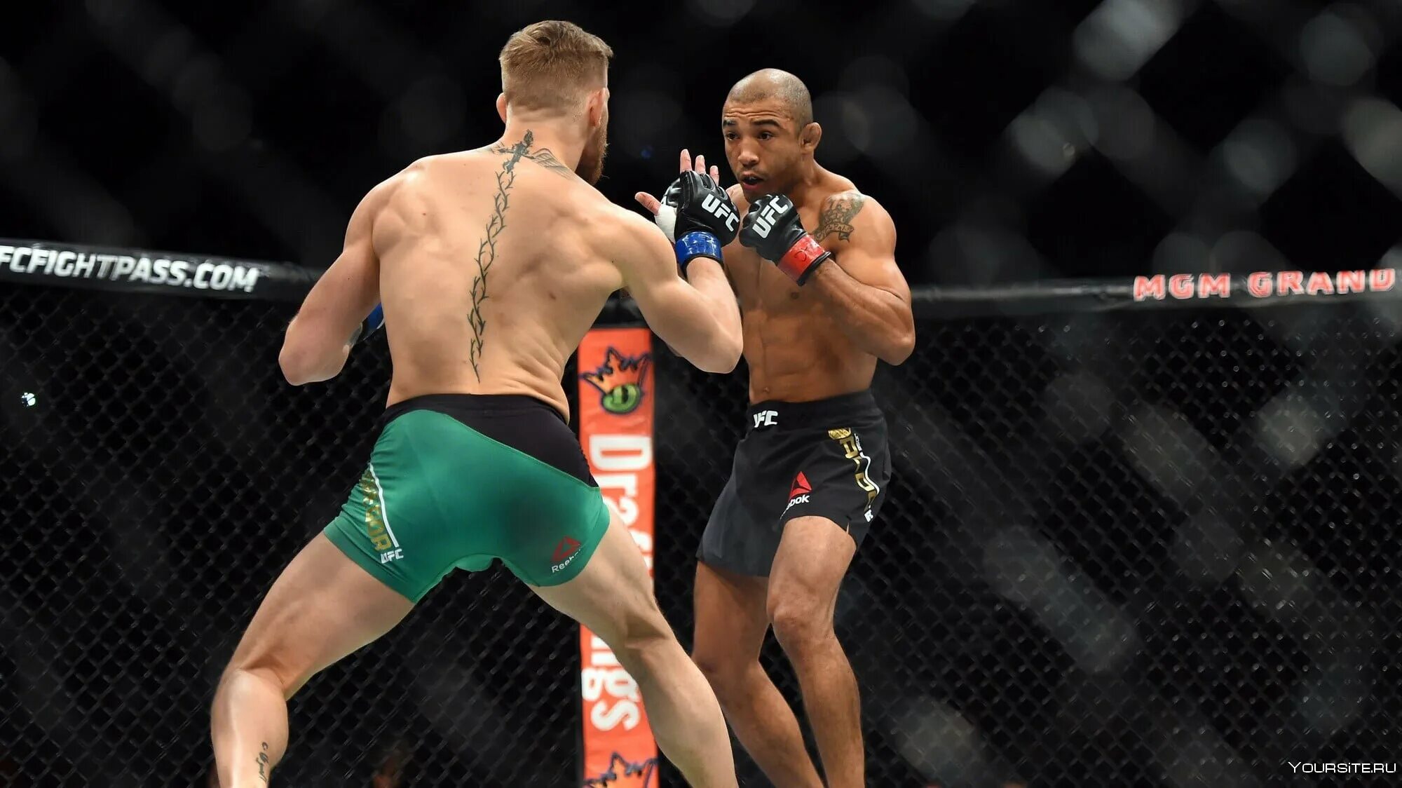 Макгрегор альдо. Макгрегор альдо. Конор макгрегор нокаут жозе альдо. Конор макгрегор альдо. Конор макгрегор альдо.